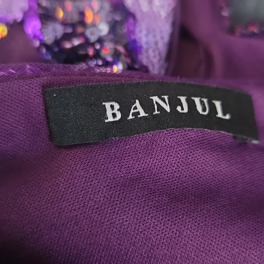 Banjul Sequin Mini Dress - Picture 7 of 7